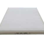 CF81-PhotoRoom.png-PhotoRoom